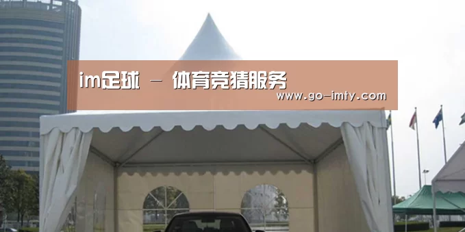 案例标题八