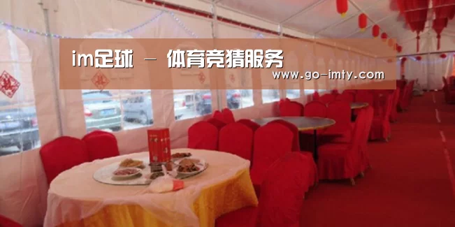 案例标题二