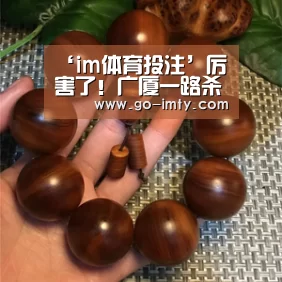 im体育下载