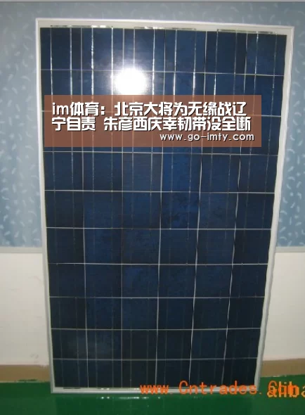 im体育官网