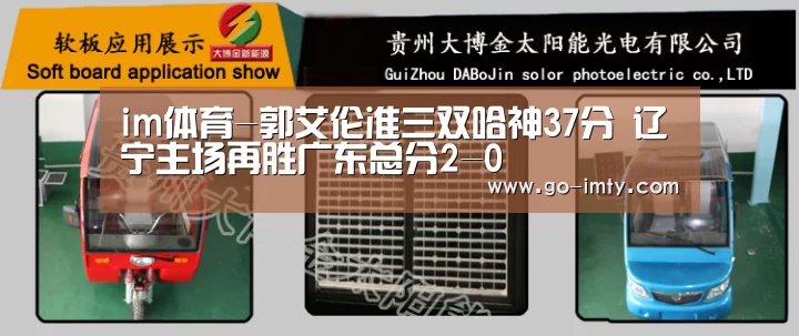 im体育投注