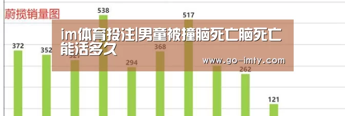 im体育投注|男童被撞脑死亡脑死亡能活多久(图3) im体育