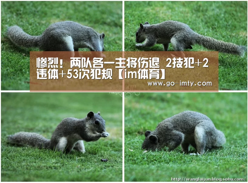 惨烈!两队各一主将伤退 2技犯+2违体+53次犯规【im体育】(图1) im体育投注